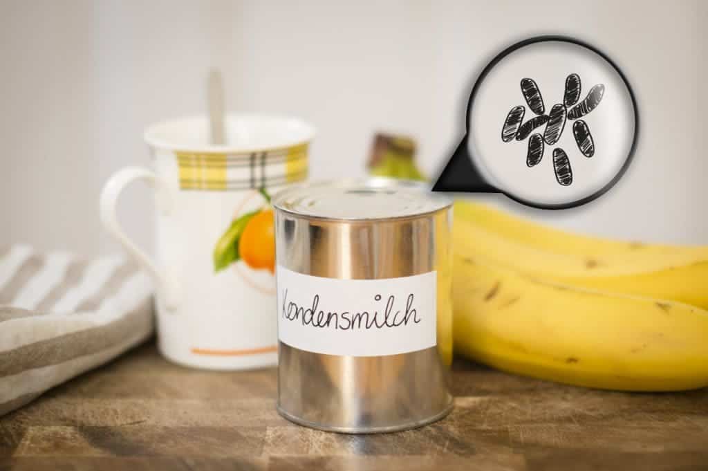 Die Sporenform des Bacillus Coagulans