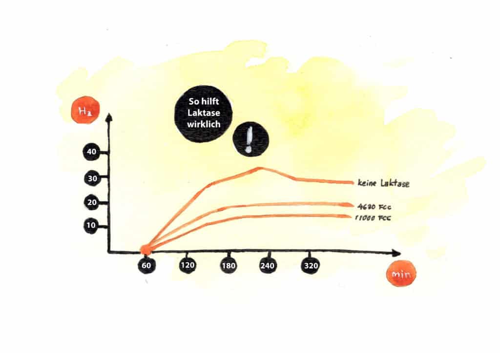 Diagram, dass zeugt, wie Laktase mit der richtigen Dosierung wirkt.
